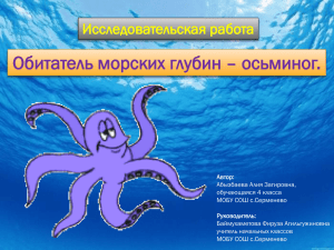 Обитатель морских глубин – осьминог. Исследовательская работа