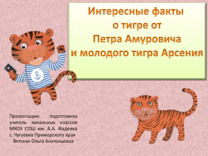 Интересные факты о тигре от Петра Амуровича и молодого