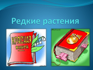 "Красная книга леса" (учитель Яндринская М.В.)