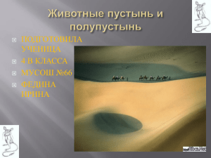 Презентация "Животные пустынь и полупустынь"