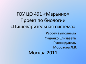 ГОУ ЦО 491 «Марьино» Проект по биологии «Пищеварительная система» Москва 2011