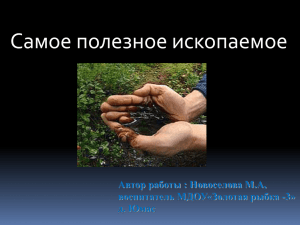 Самое полезное ископаемое Автор работы : Новоселова М.А, воспитатель МДОУ«Золотая рыбка -3»