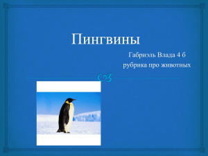 Пингвины Габриэль Влада 4 б рубрика про животных Пингвины