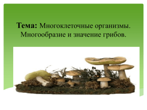 Тема: Многоклеточные организмы. Многообразие и значение грибов.