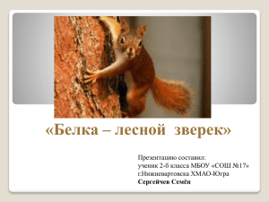 «Белка – лесной зверек» Презентацию составил: ученик 2-б класса МБОУ «СОШ №17»