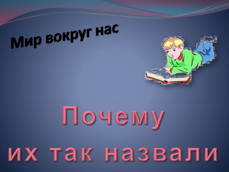 Почему они так называются 6 класс