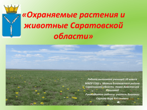Охраняемые животные и растения Саратовской области