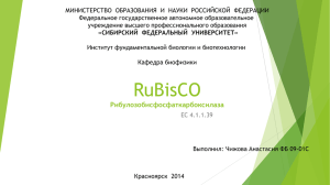 RuBisCO - Институт фундаментальной биологии и биотехнологии