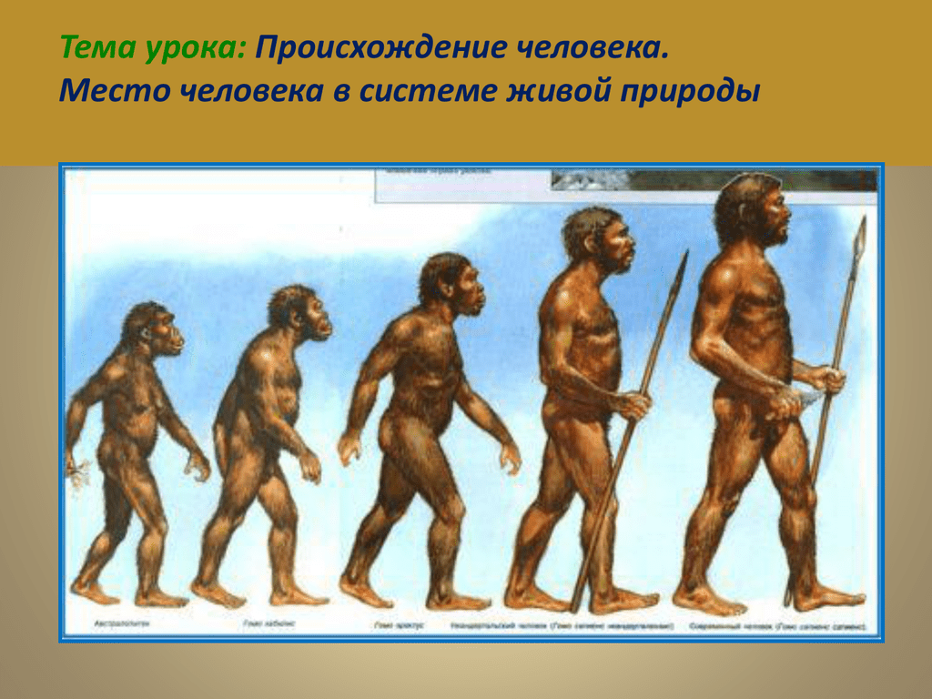 Предки людей жили на земле. Происхождение человека. Древние предки человека. Появление человека. Древние люди происхождение.