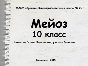 Мейоз 10 класс МАОУ «Средняя общеобразовательная школа № 2»