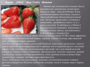 • Альба  (Alba)    New Fruits Италия