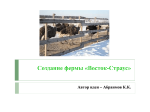 Создание фермы «Восток-Страус» Автор идеи – Абраимов К.К.