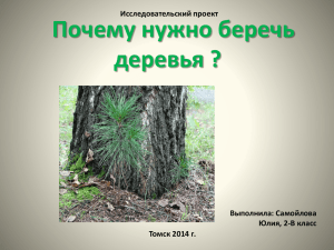 Почему нужно беречь деревья ? Исследовательский проект Выполнила: Самойлова