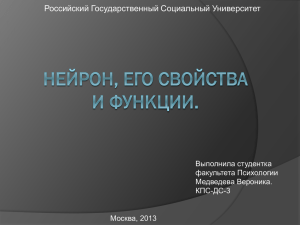Медведева В. Нейрон. Его свойства и функции