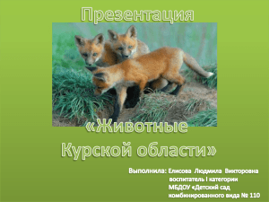 Животные Курской области - Детский сад комбинированного