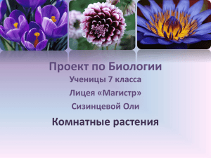 Сизинцева Ольга (7 класс). Комнатные растения (презентация)