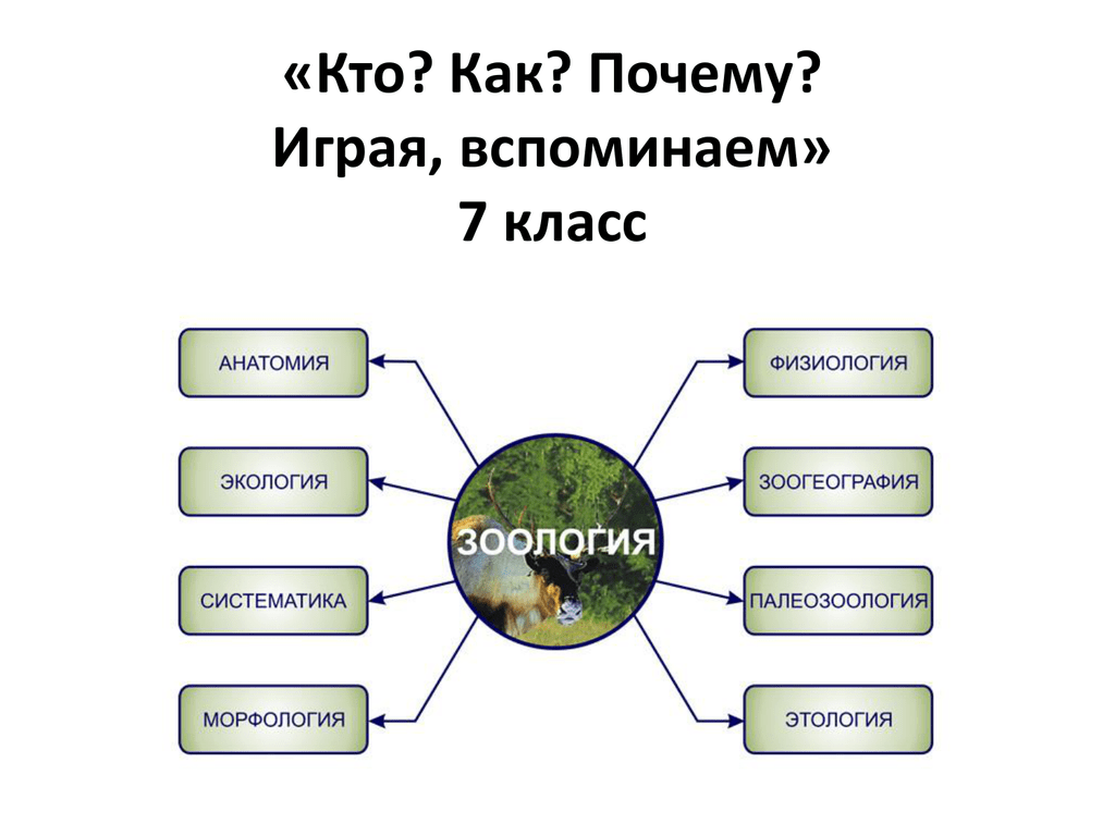 Наука о животных. Науки о животных биология 7 класс список. Система наук о животных Зоология. Науки зоологии 7 класс. Схема науки о животных.