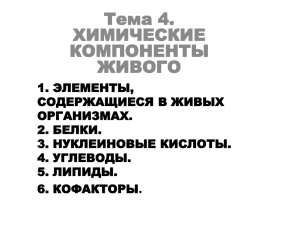 Презентация к лекции 4.