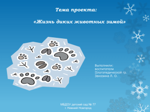 Тема проекта: Жизнь диких животных зимой» « Выполнили: