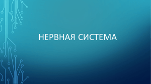Nervnay_systema - school