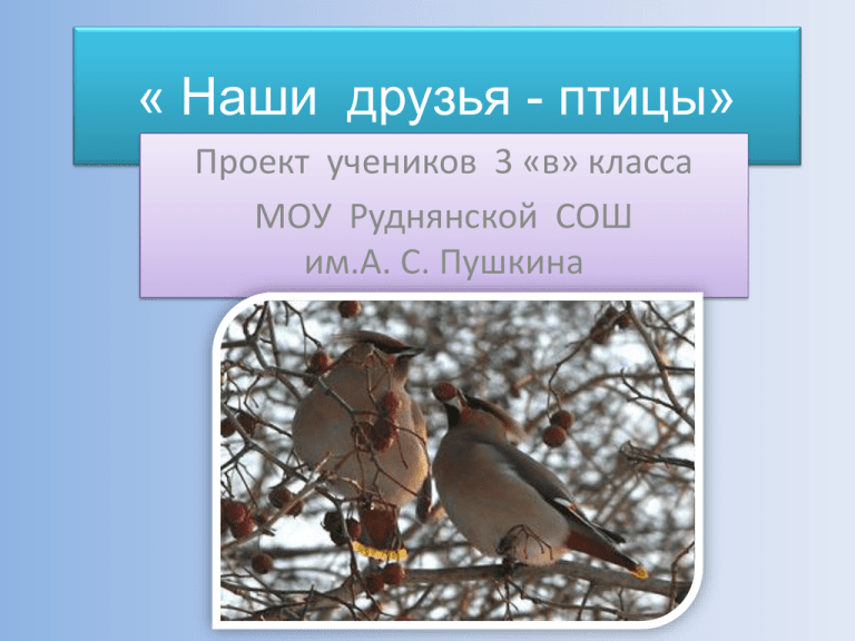 Проект по теме птицы наши друзья