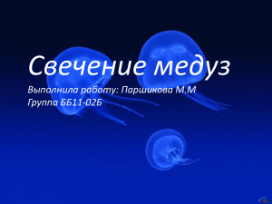 Свечение медуз Выполнила работу: Паршикова М.М Группа ББ11-02Б