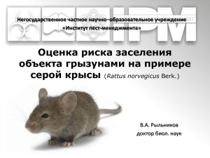 Оценка пест-риска при заселении объекта серой крысой