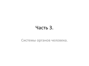 Часть 3. Системы органов человека.