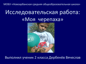 Исследовательская работа: «Моя  черепаха» Выполнил ученик 2 класса Дербенёв Вячеслав