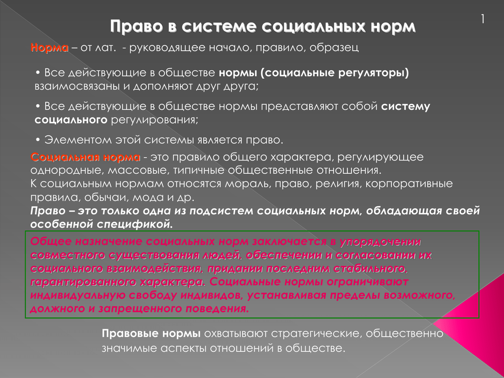 Нормы общества. 1. Право в системе социальных норм. 2. Право в системе социальных норм.. 1. Норма права в системе социальных норм.. Нормы действующие в обществе.