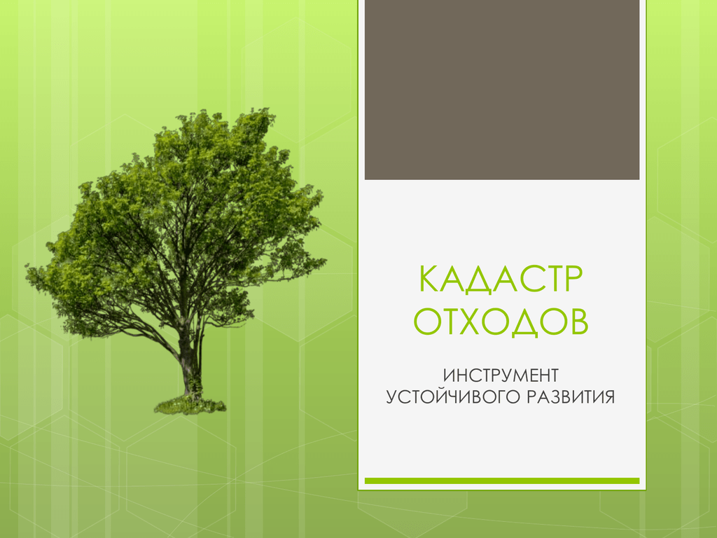 Кадастр отходов