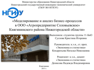 Министерство образования Нижегородской области Нижегородский государственный инженерно-экономический университет