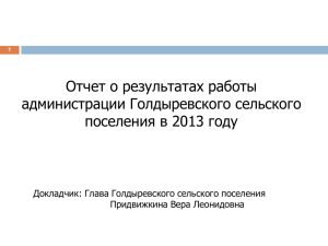 Отчет главы поселения за 2013 год