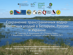 Сохранение трансграничных водно- болотных угодий в Беларуси, России и Украине