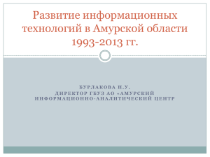 Развитие информационных технологий в Амурской области 1993-2013 гг.