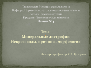 24. лекция №4 Документ `Ташкентская Меди...`