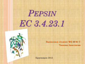 Pepsin EC 3.4.23.1