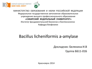 Bacillus licheniformis a-amylase
