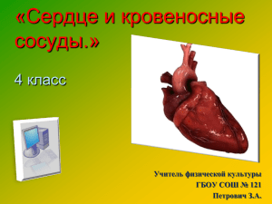 Сердце и кровеносные сосуды - Сайт учителя физической