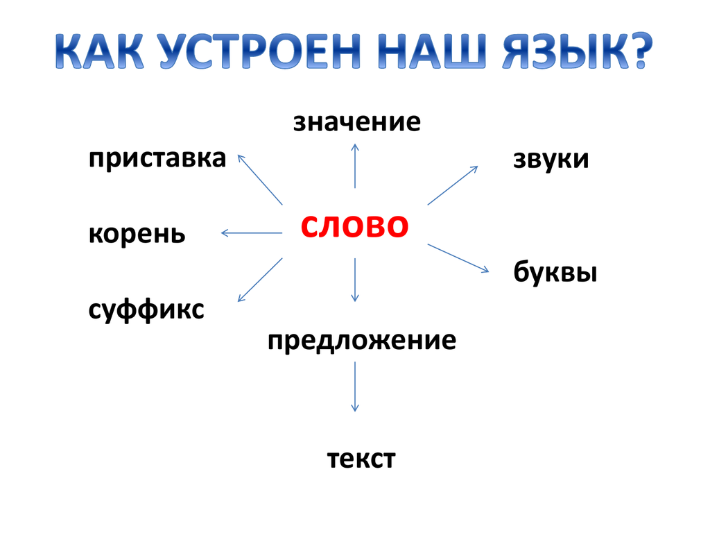 Устрой слова. Как устроено слово. Как устроен наш язык.