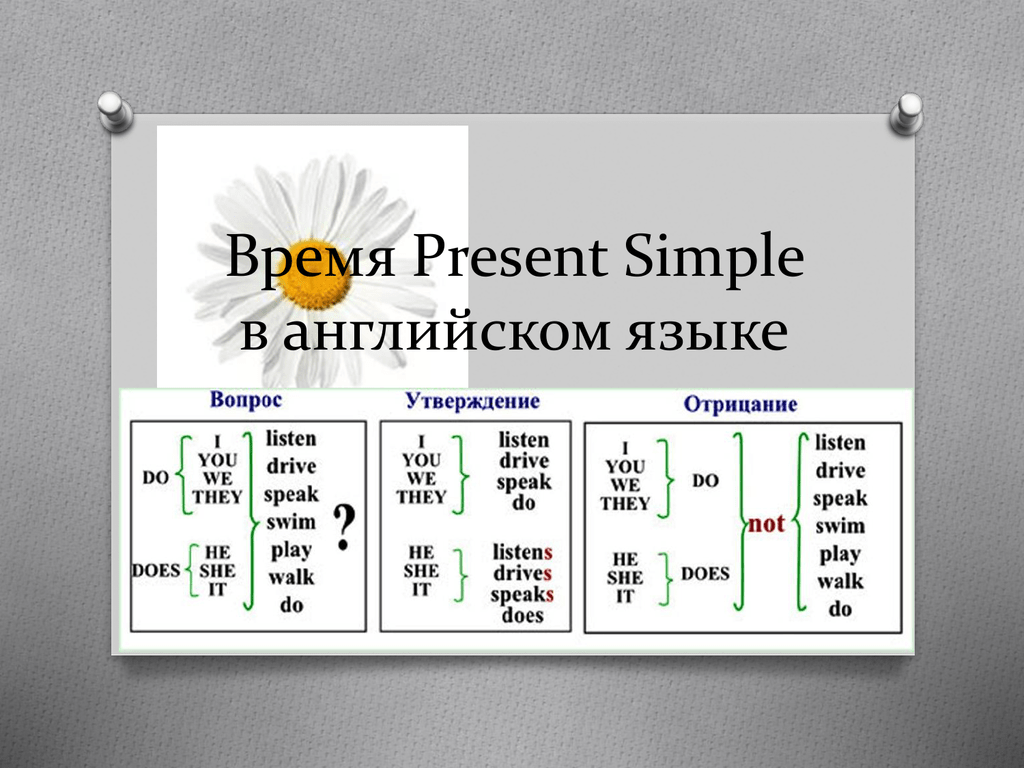 Объяснения презент симпл. Таблица построения present simple. Present simple схема построения. Present simple построение предложений. Present simple схема построения предложений.