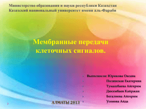 Министерство образования и науки республики Казахстан Казахский национальный университет имени аль-Фараби
