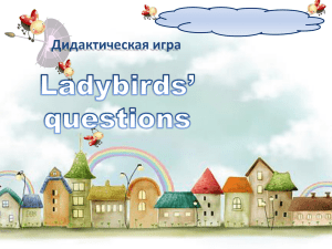 Ladybirds` questions