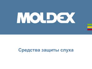 Презентация Moldex