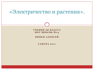 «Электричество и растения».