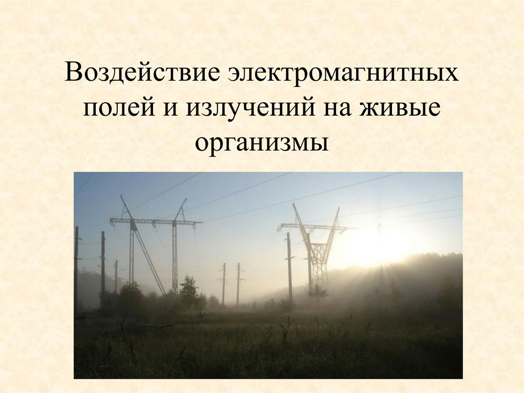 Изучение влияния электромагнитных полей на среду обитания человека проект