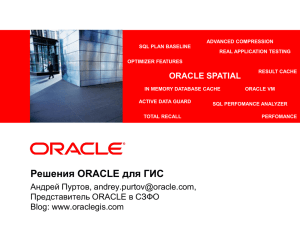ORACLE SPATIAL &lt;Insert Picture Here&gt;