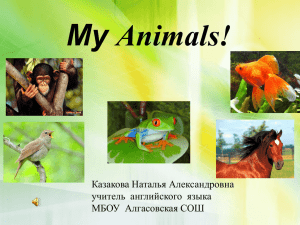 My Animals! Казакова Наталья Александровна учитель  английского  языка