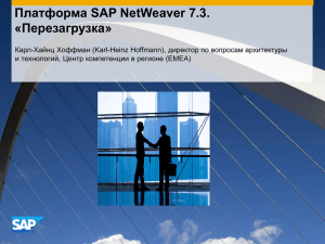 Платформа SAP NetWeaver 7.3. Перезагрузка» «