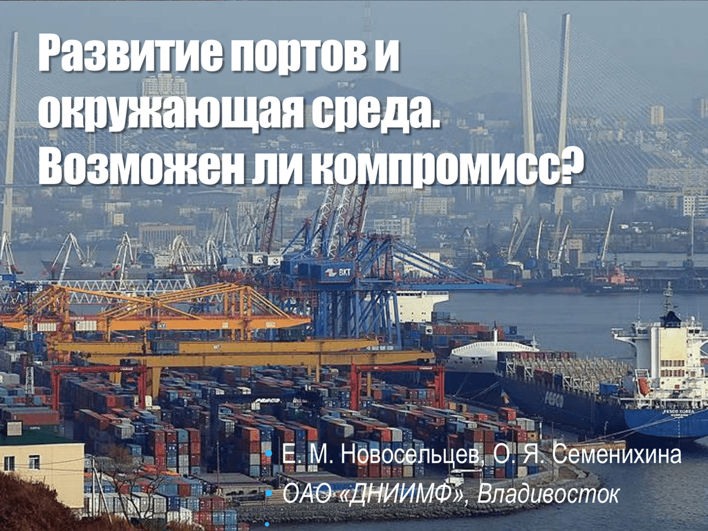Какие производства развиты в портовых городах. Развитие портов. ДНИИМФ Владивосток. Какие виды производств развиты в портовых городах. Картинки управление развитием портовых городов.